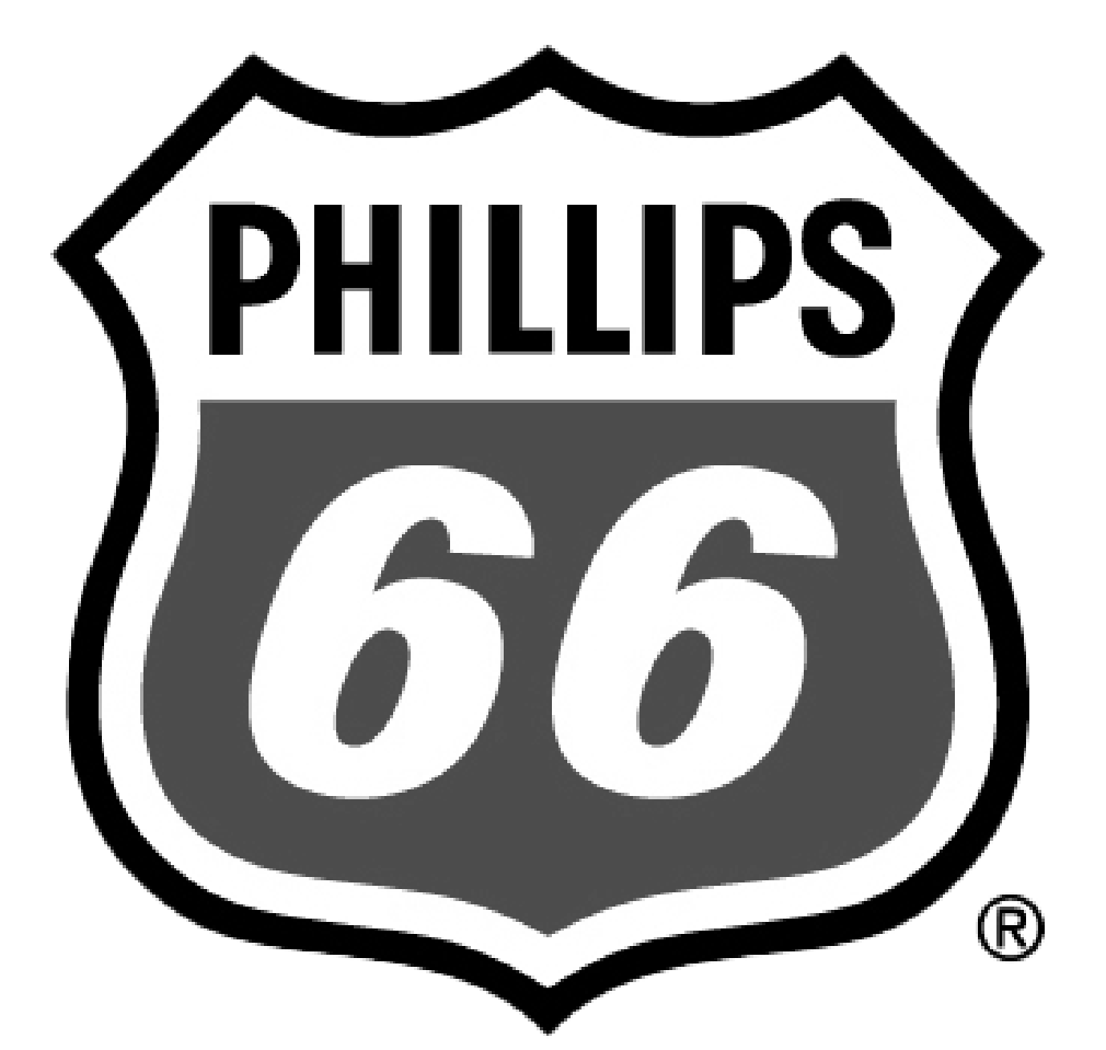 p66 logo